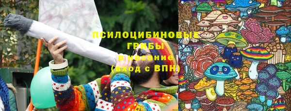 МДПВ Алексин
