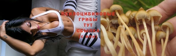 спайс Алексеевка
