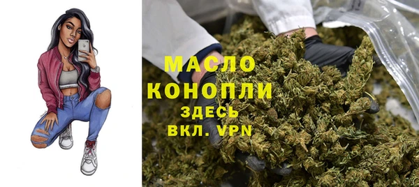 твердый Надым