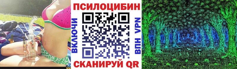 Псилоцибиновые грибы мухоморы  Новороссийск 