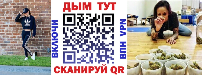 купить наркоту  Новороссийск  Конопля план 